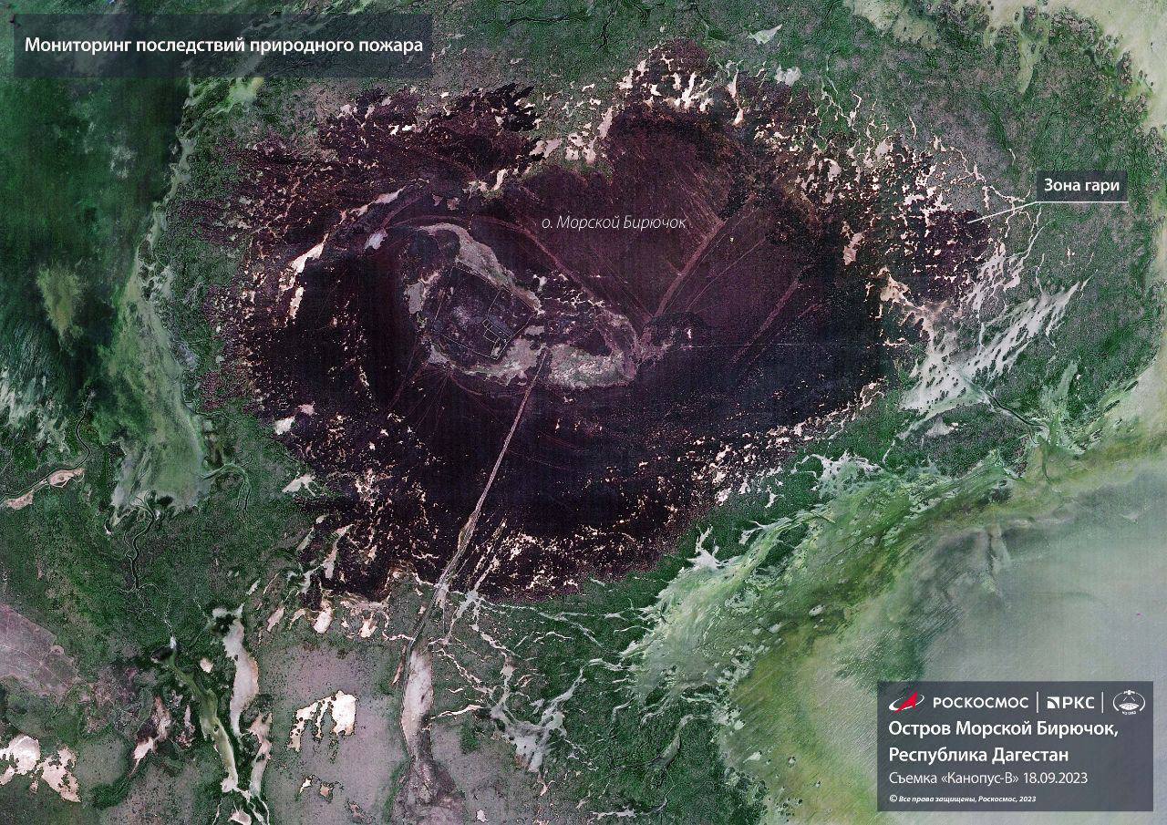 Роскосмос телеграмм. Остров морской бирючок. Остров морской бирючок в Каспийском море. Геология Каспийского моря и сопредельных областей. Роскосмос телеграм.